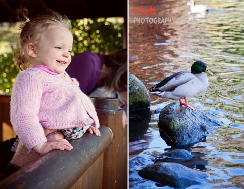 Family portrait shoot with Tim, Nicky, Ruby & violet at The Botanical Gardens, Dunedin.