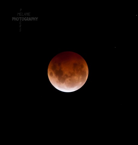 Blood Moon eclipse New Zealand