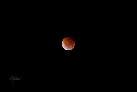 Blood Moon eclipse New Zealand