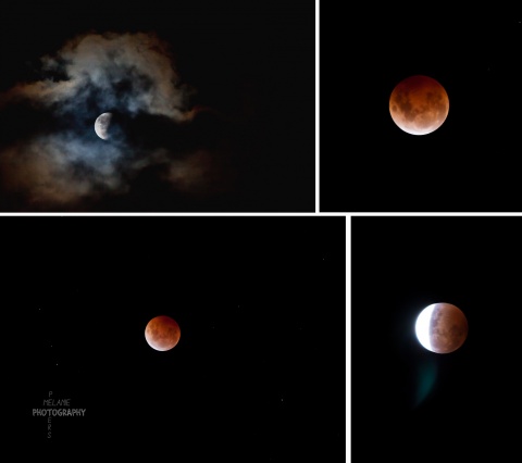 Blood Moon eclipse New Zealand