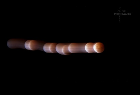 Blood Moon eclipse New Zealand