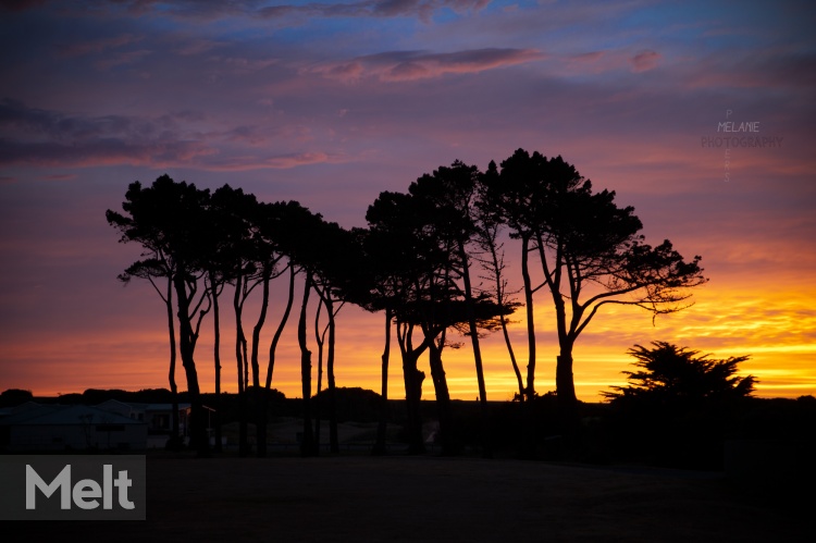 Sunset-golf-course_1275-2-re.jpg