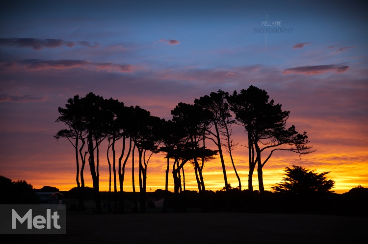 Sunset-golf-course_1279-2-re.jpg