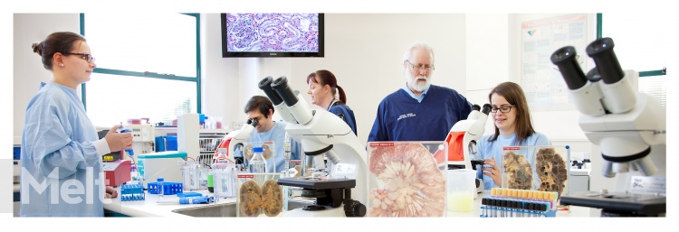 Pathology Department @ The University of Otago