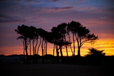 Sunset-golf-course_1275-2-re.jpg