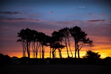 Sunset-golf-course_1279-2-re.jpg