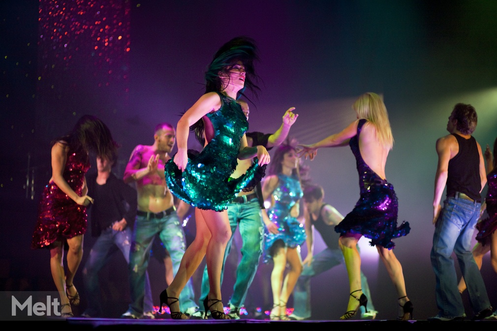 Burn The Floor Show